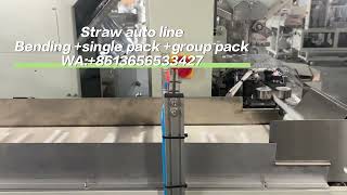 FULLY AUTOMATIC Straw Production Line: Extrusion → Artistic Bending → Single & Multi-Packaging