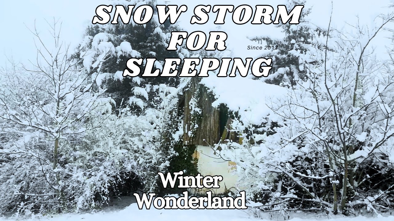 Sleep with #blizzard and Howling wind | Cozy Winter Ambience and #snow ...