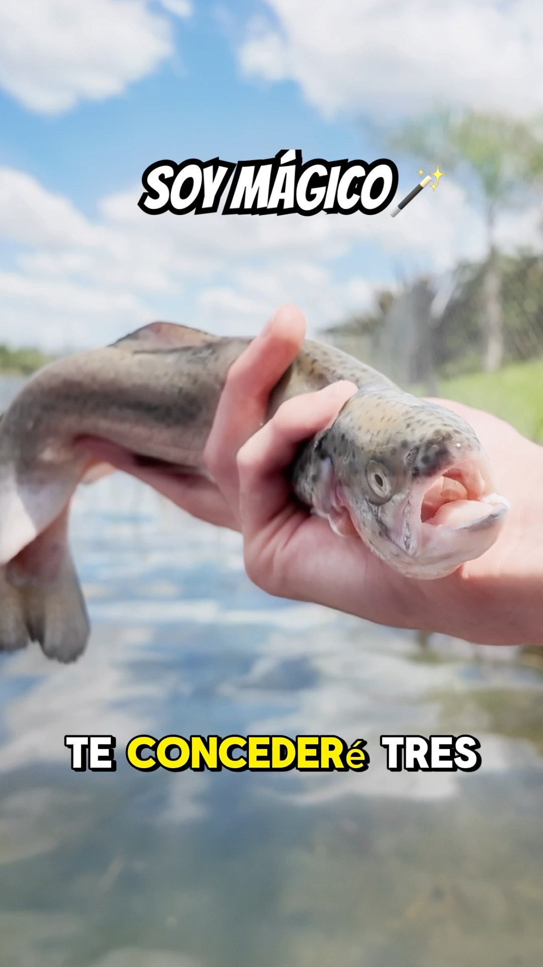 EL PESCADITO MÁGICO