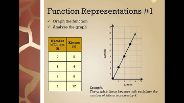 Multiple Representations of Functions