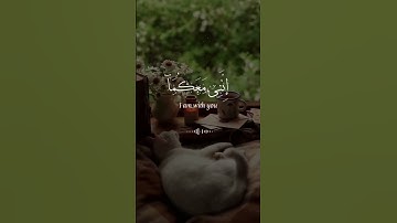 #صوت_رائع #القرآن_الكريم_راحة_نفسية #تلاوة #فيديوهات_دينية_قصيرة #القرآن_الكريم ♡♡♡