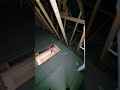 LOFT TRANSFORMATION!