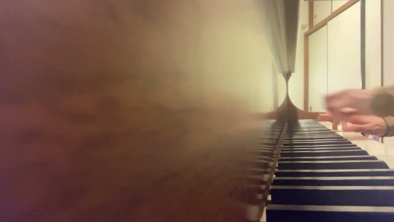 Beethoven piano sonata No.31 op.110 2nd mov