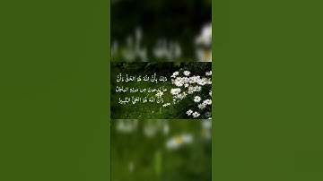 ما تيسر من سورة لقمان  #اكسبلور #المصحف #راحة_نفسية