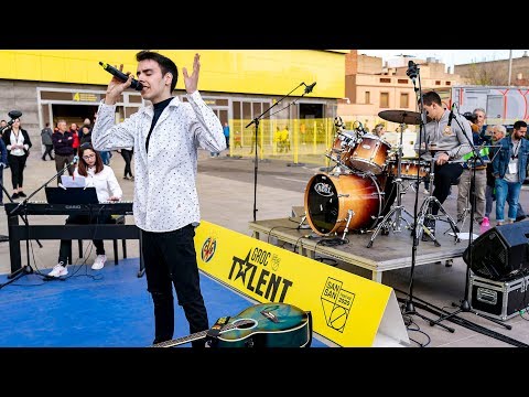 Groc Talent - Filibert