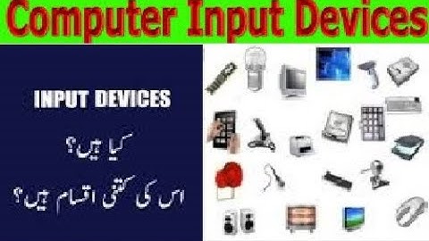 Types Of Input Devices & Input Devices of Computer  (Urdu/Hindi)