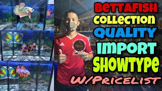 BETTA FISH COLLECTION! IMPORT |SHOWTYPE and QUALITY with Pricelist !!