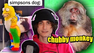 The Strangest Animals on Tik Tok