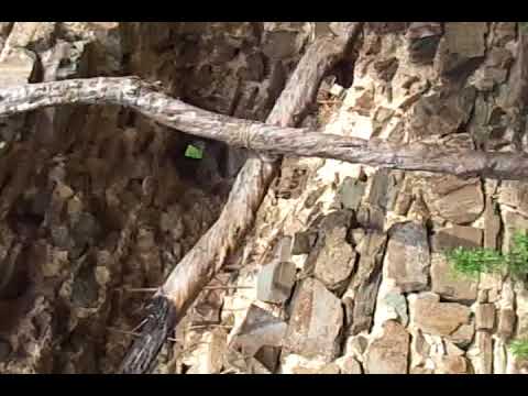 არმაზის ციხე