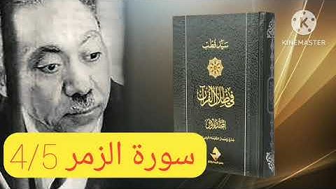 قراءة كتاب في ظلال القرآن : سورة الزمر 4/5