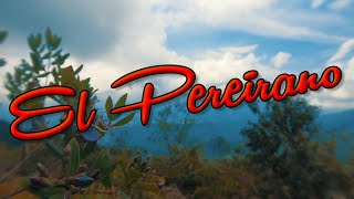 Video thumbnail of "Cuerdas Colombianas - El Pereirano"