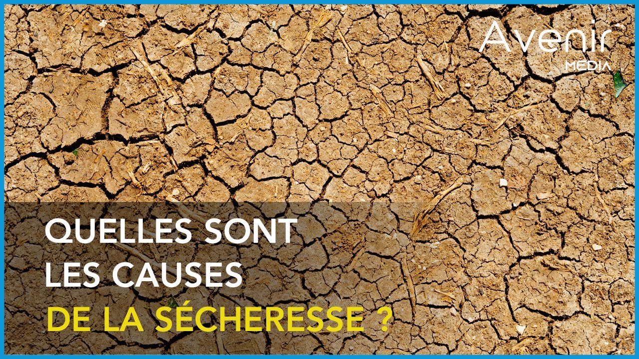 Les causes de la sécheresse YouTube Les causes de la sécheresse YouTube