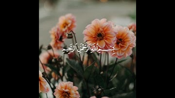 قران كريم آيات من الذكر الحكيم سورة قريش بصوت الشيخ ماهر المعيقلي