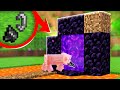 beating minecraft as a pig IS HARD