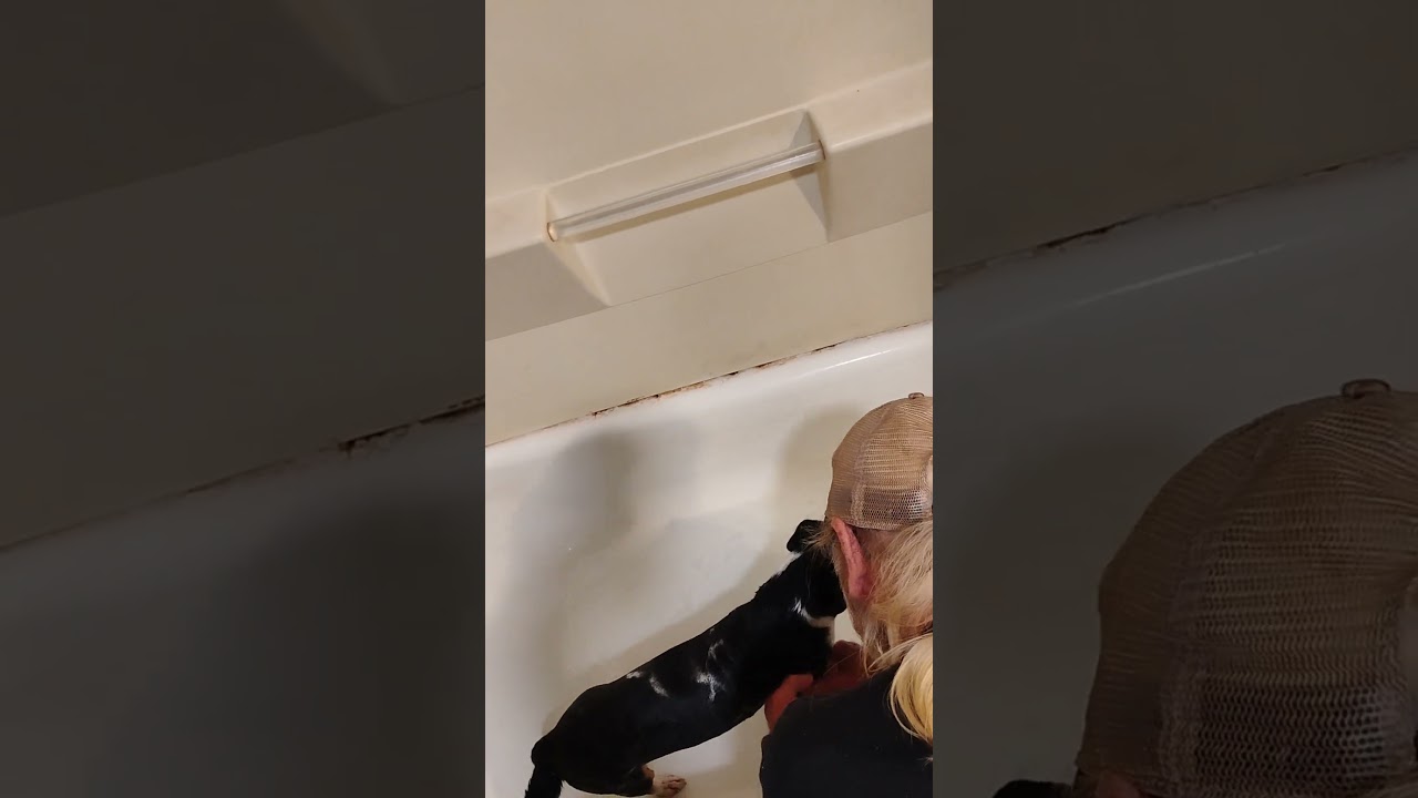 dad taking smoke a bath y'all