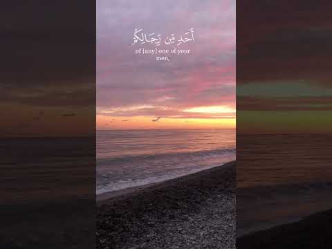 محمد رسول الله صلى الله عليه وسلم تلاوة خاشعة للشيخ السيد سعيد