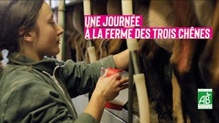 Une journée à la Ferme des Trois Chênes !