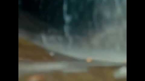 Azaadi trailer 🇵🇰 2018