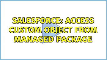 Salesforce: Access Custom Object from Managed Package