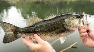 Slammin’ Bass On Micro Spin Jigs & Finesse Craws by MoondogBaitCo 249 views 1 year ago 3 minutes, 46 seconds