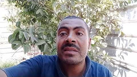 ربع يا أيها الرسول لا يحزنك سورة المائدة للشيخ صلاح بندارى