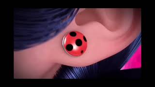 Ladybug Transformation