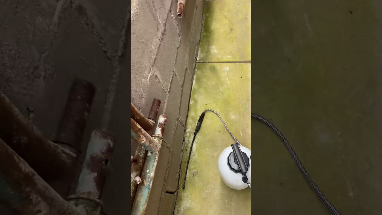 How To Get Rid Of Algae On Concrete With Mold Armor E-Z House Wash