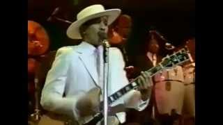 Kid Creole & The Coconuts - Don't Take My Coconuts (1984) [videoclip]