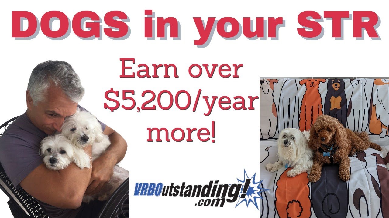 Unlocking the Benefits of Having a DogFriendly VRBO and Airbnb YouTube