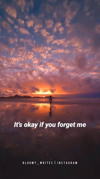 it's okay if you forget me whatsapp status and instagram story🌨️🌼🦋