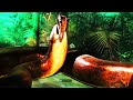 Titanoboa, totoo ba sila?