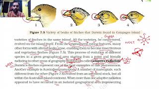 Evolution Class 12 | Part 3 | NCERT Line to Line | Thannambikkai Batch