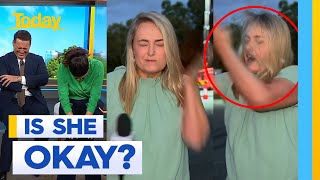 Reporter slaps herself trying to hit fly | Today Show Australia