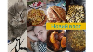 #Новий влог#Знайомтесь це Мартін😻#Наше меню🍛🍜#Городні ділішки🥒🍅🥕