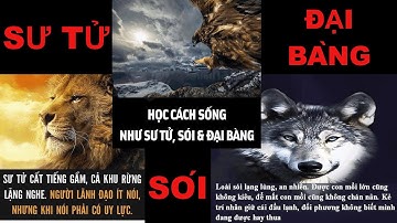 HÃY HỌC CÁCH SỐNG NHƯ SƯ TỬ, SÓI & ĐẠI BÀNG|| ĐÁNH THỨC CON NGƯỜI BẠN|| HẠT GIỐNG TÂM HỒN