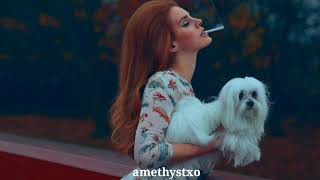 Lana Del Rey - Don't Let Me Be Misunderstood (Lyrics) Resimi