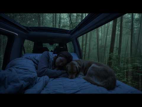 Cozy Car in Heavy Rain 🌧️ Relaxing Thunderstorm Sounds for Better Sleep