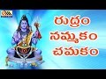 Rudram Namakam Chamakam || Sri Hari Achyuta Rama Sastry