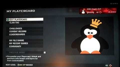 How To Make a Penguin emblem on COD black ops