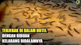 TERJEBAK DI HOTEL YANG DI KEPUNG KELABANG  - ALUR CERITA FILM THE ONE HUNDRED (2022)