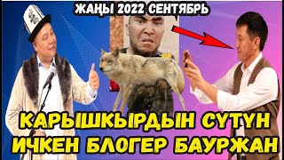 ЖАҢЫ2022//КАРЫШКЫРДЫН СҮТҮН ИЧКЕН БЛОГЕР//БЕШ ТАПАН ЭЛДИ ЖАРЫП САЛДЫ