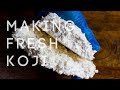 Comment faire du riz koji  la maison