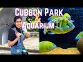 Evening walk at cubbon park  bangalore aquarium  cubbon park bangalore  curly bhavya