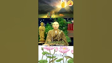 Công đức là gì? | Pháp Sư Tịnh Không | Tâm Hướng Phật