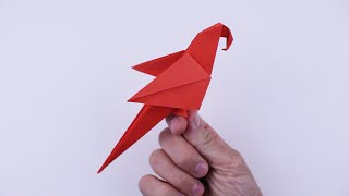 Comment faire un perroquet à partir de papier