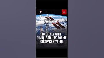 #watch | 🧬 Bacteria with a ‘Unique Ability’ Found in Space!