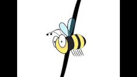 2024 MIT Integration Bee - Finals