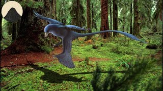 Microraptor and the Very Bird Like Dinosaurs