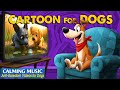 Dog Cartoon: (🔴LIVE 24/7) Anti-Boredom Videos for Dogs When Home Alone - Fun &amp; Relax Music for Dogs