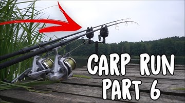 CARP RUN COMPILATION 2021! PART 6! I FishingWorldTV